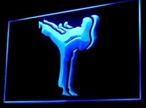 Kung Fu Karate LED Neon Sign